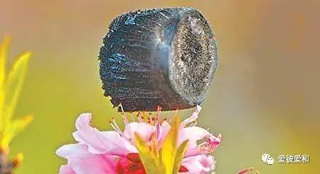 53977737.png 53977737.png