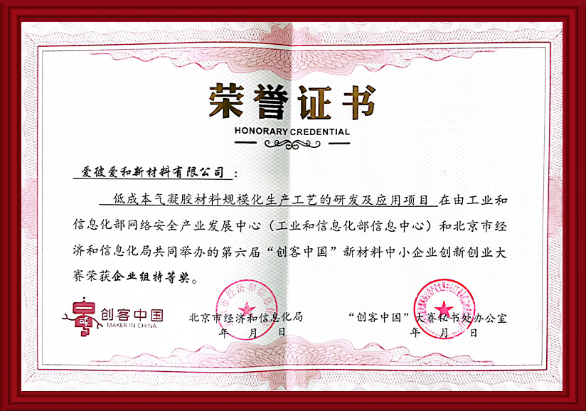 Maker China "Special Award"