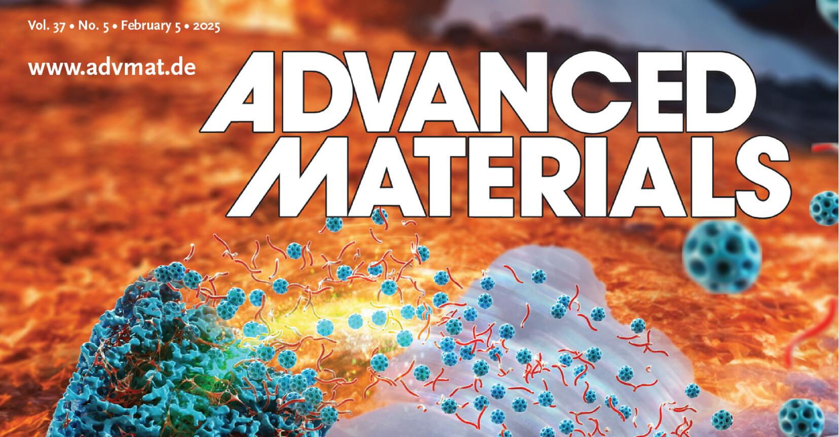 EMPA赵善宇博士团队Adv. Mater.：可回收聚酰亚胺复合气凝胶的多尺度制造